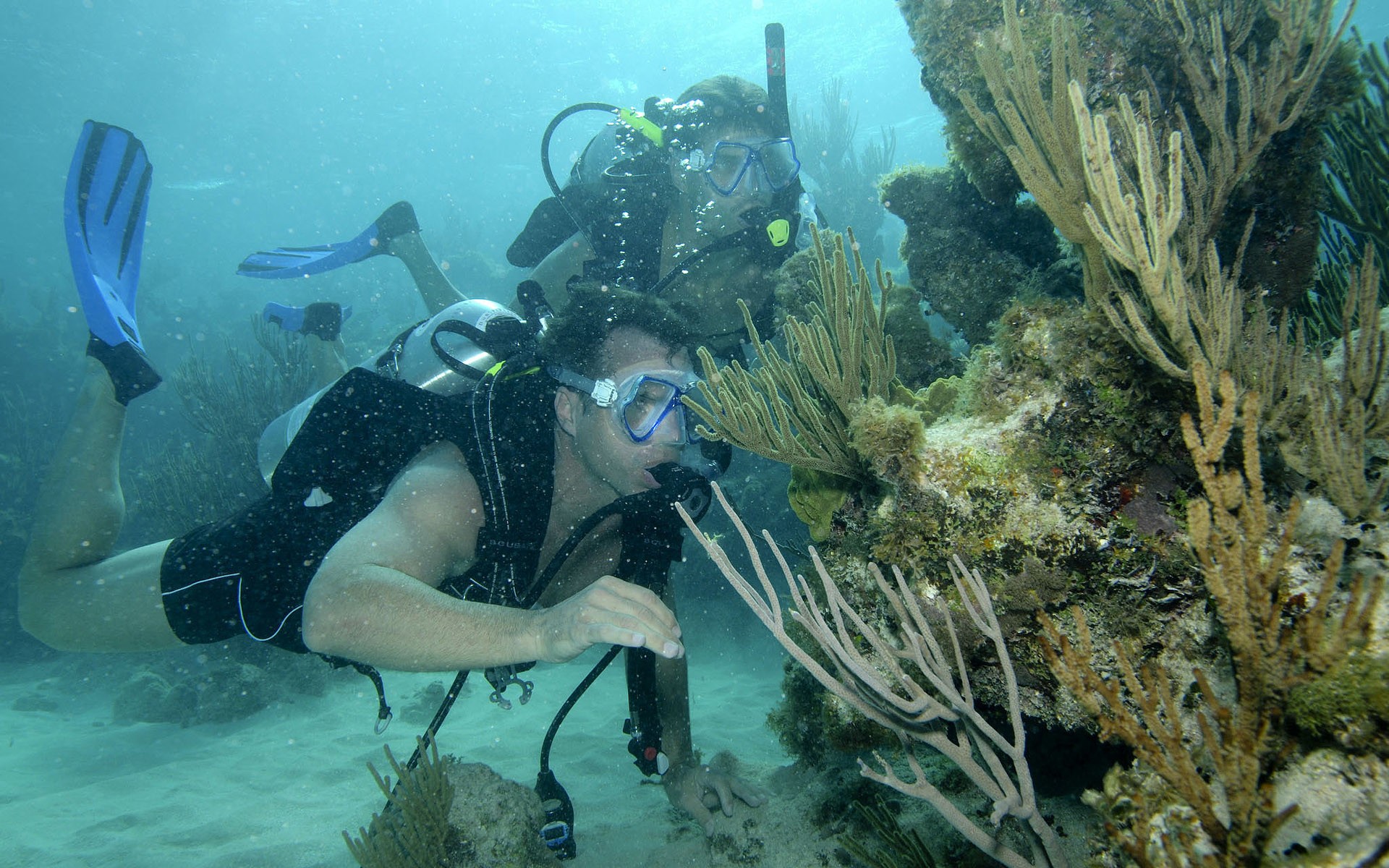 Diving Off 44m Yacht HARLE